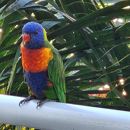 Appartamento 1213/146 Sooning Street, Nelly Bay, Magnetic Island. Qld 4819. One Bright Point. Esterno foto